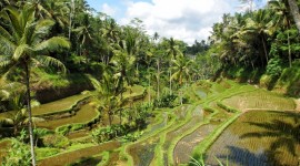 Bali y Gili Terawangan 2024 - 2025
